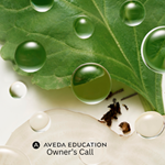 Webinar - Aveda Atlantic Owner's Call - August 31st, 2026